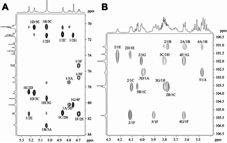 Two 2D NMR spectra with contour plots representing correlations between proton shifts. Peaks are labeled with numbers and letters. Both spectra display chemical shifts in ppm, revealing structural details of the analyzed molecules.