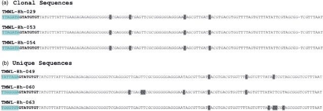 Figure 13.