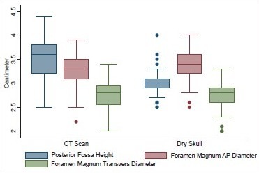 Graph 4