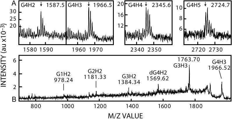 Fig. 12.