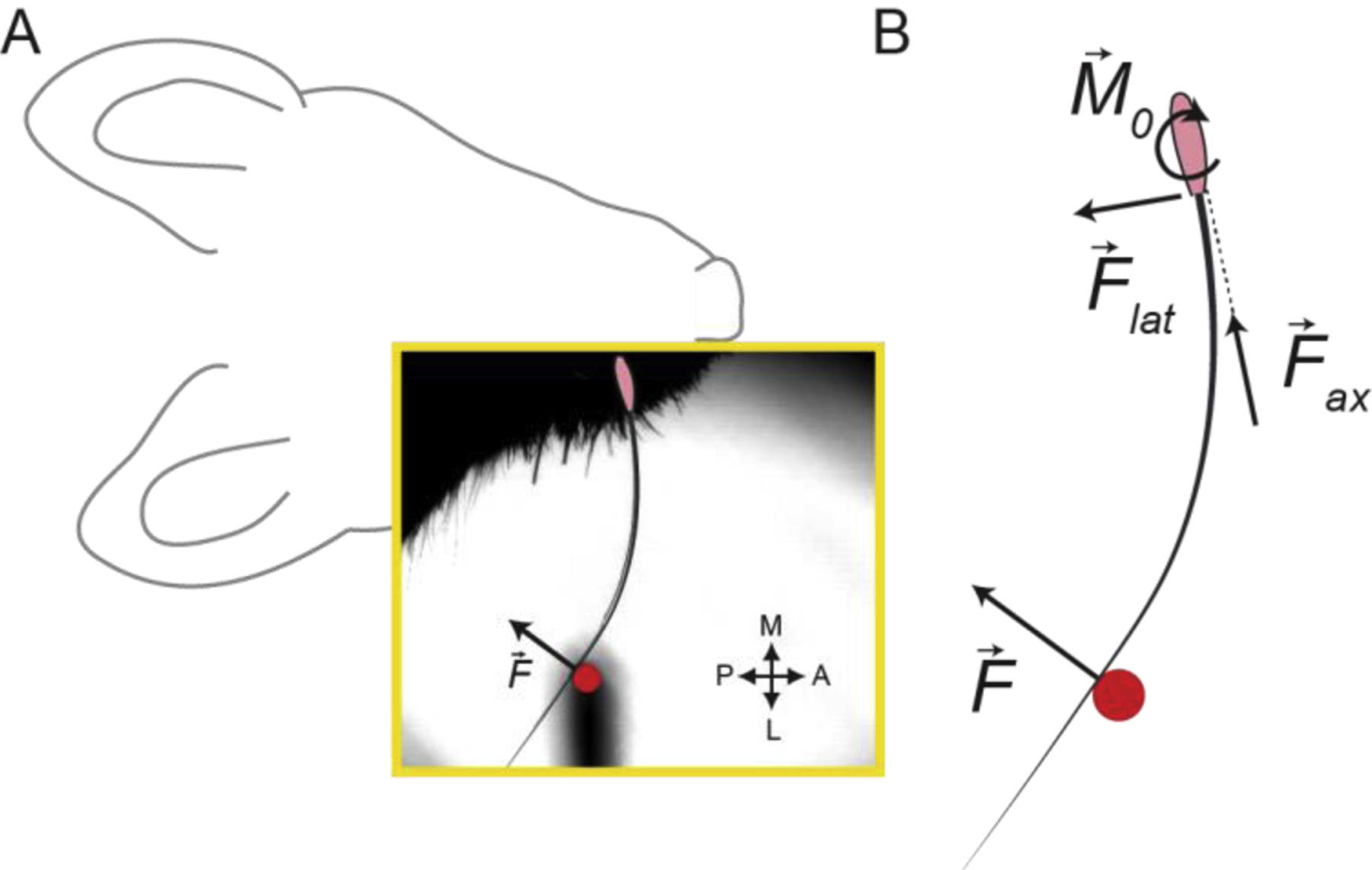 Figure 8.