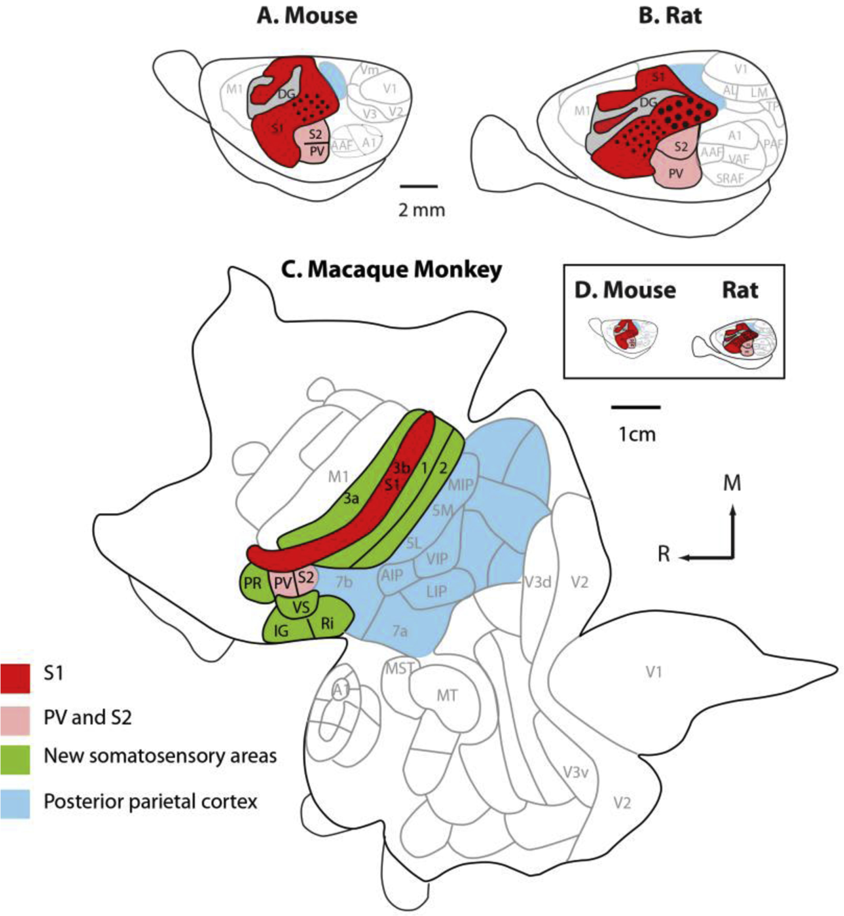 Figure 4.