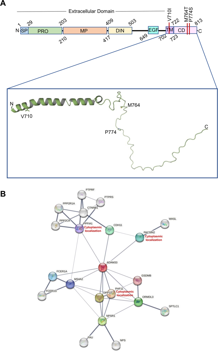 Fig. 4