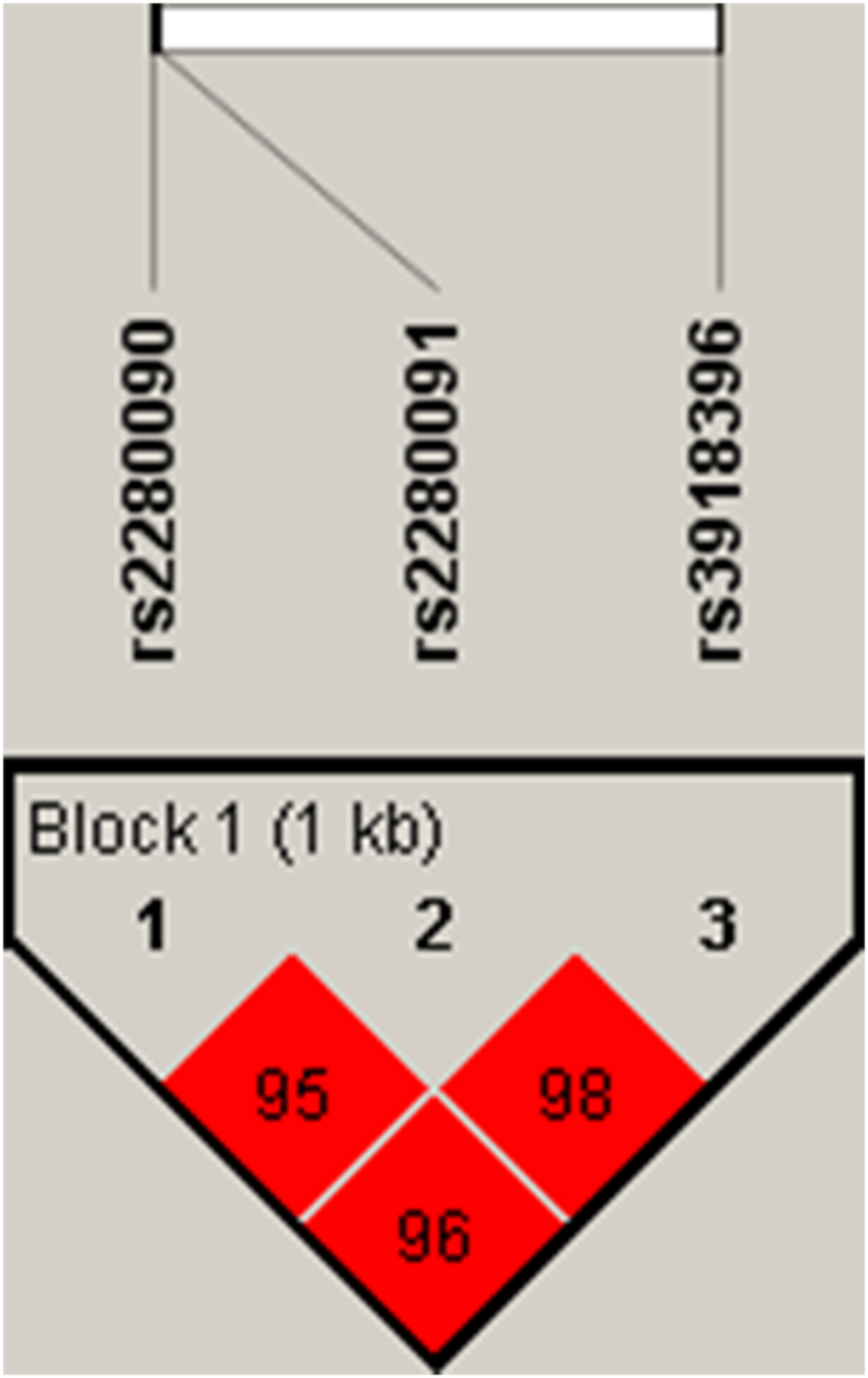 Fig. 2