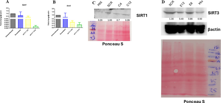 Figure 2—figure supplement 1.