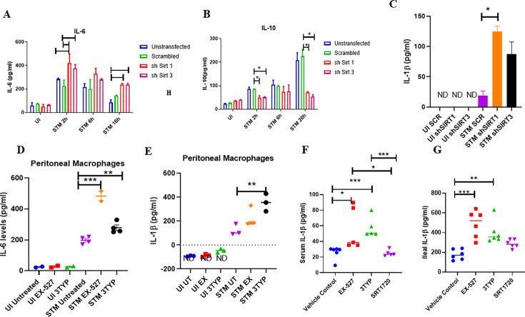 Figure 3—figure supplement 1.