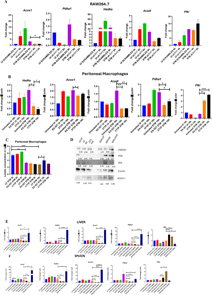 Figure 5—figure supplement 1.