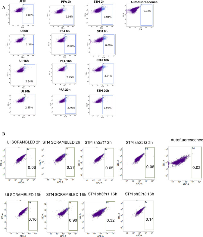 Figure 3—figure supplement 2.