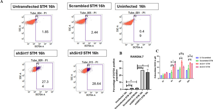 Figure 3—figure supplement 3.