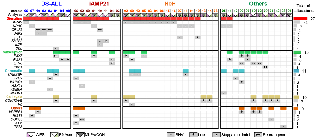 Figure 1: