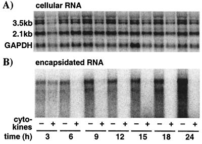 FIG. 5.