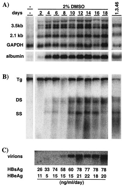 FIG. 2.