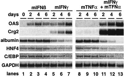 FIG. 8.