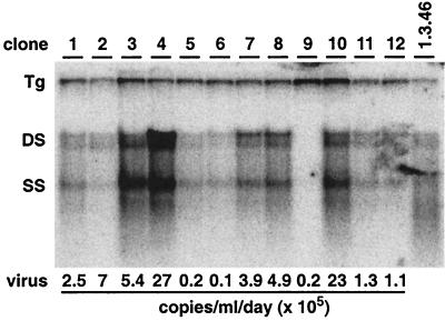 FIG. 6.