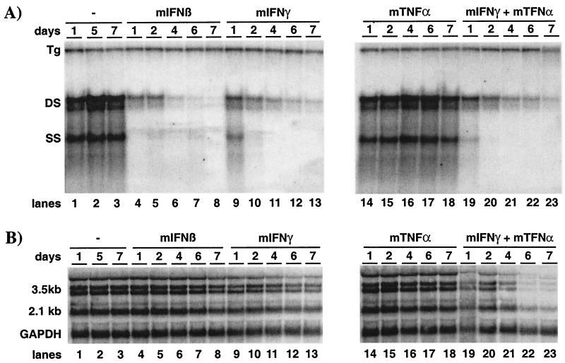 FIG. 7.