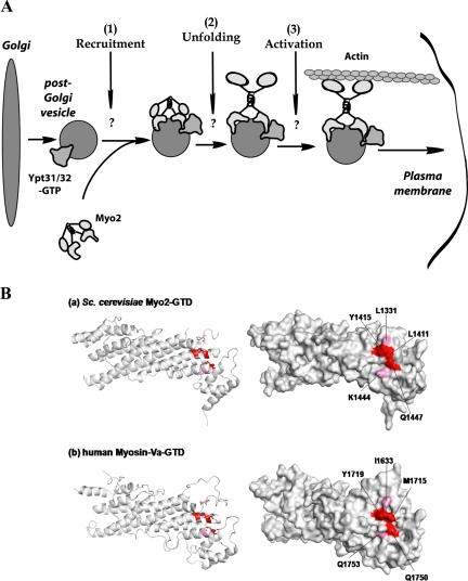 Figure 9.