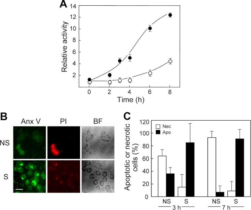 FIGURE 7.