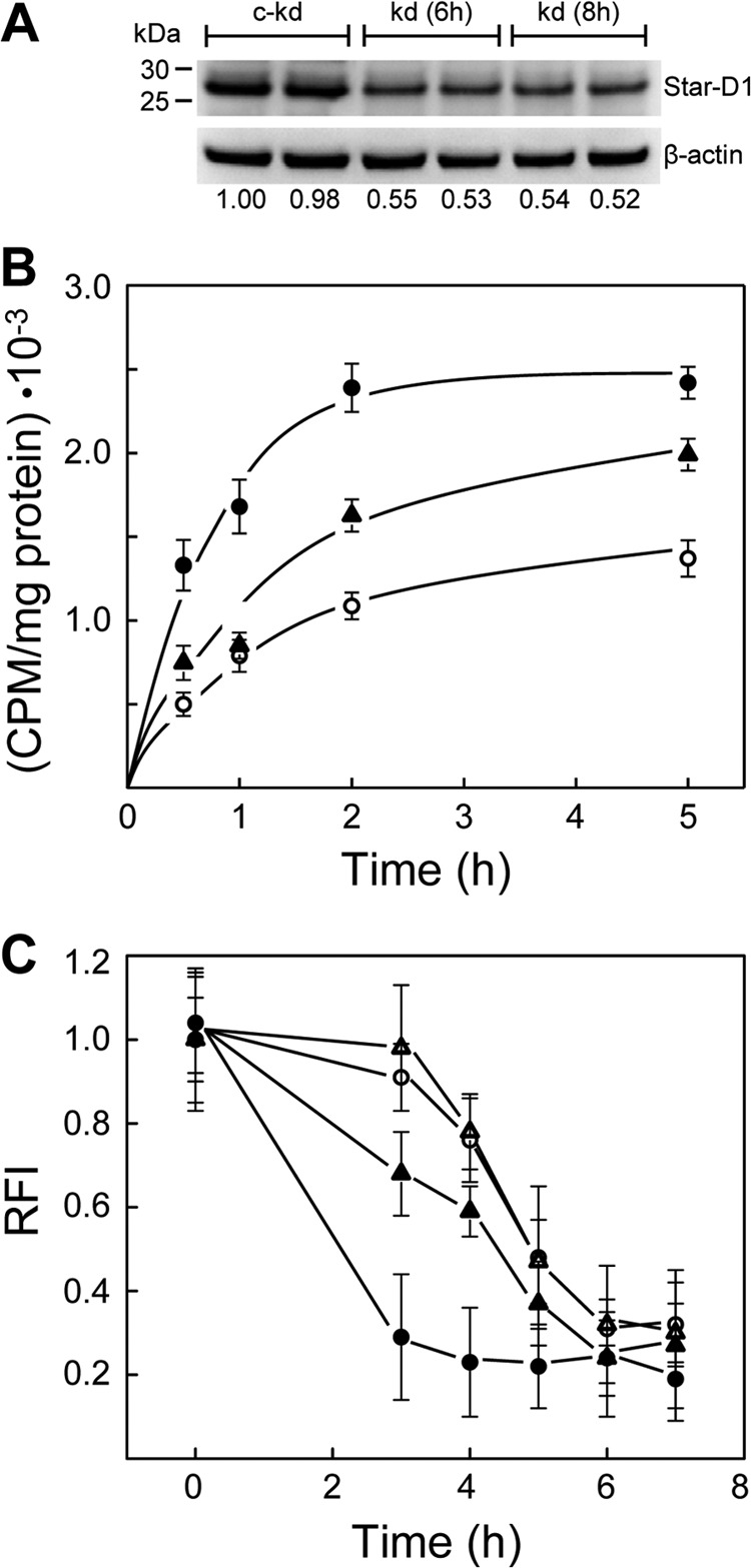 FIGURE 4.