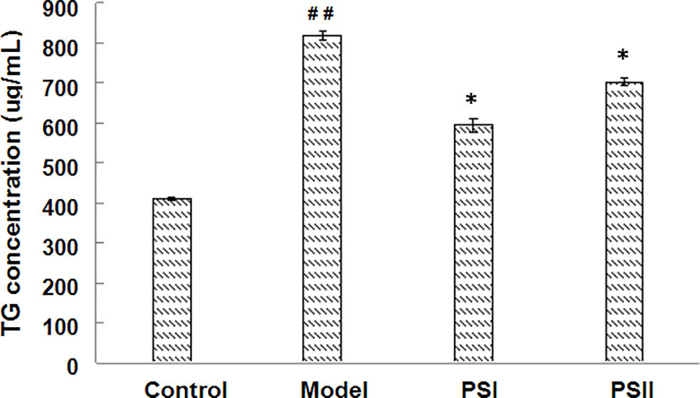 Figure 5