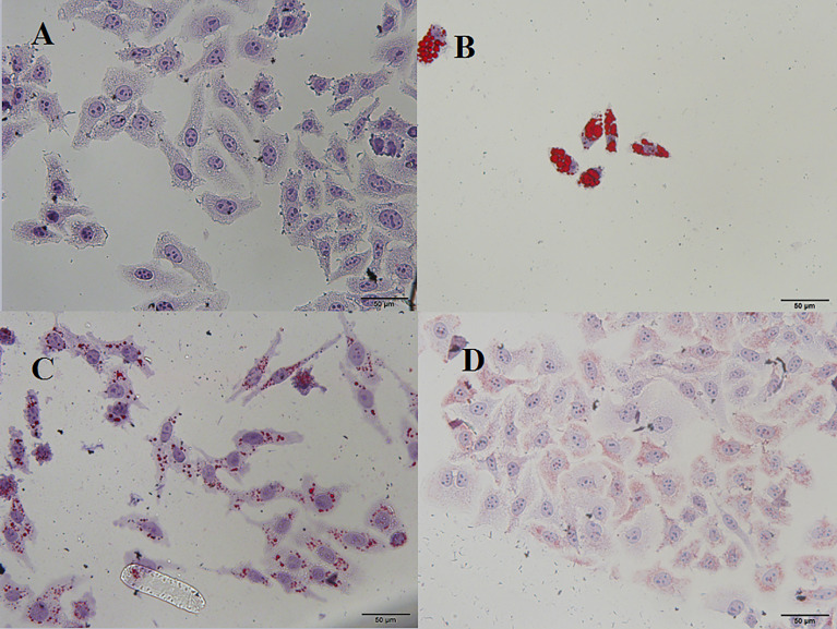 Figure 6