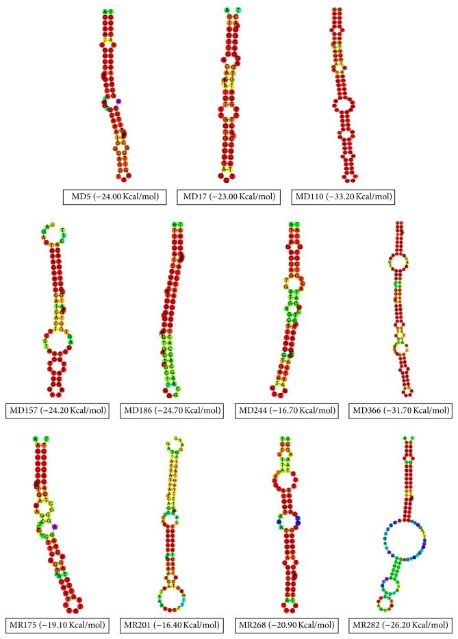 Figure 4