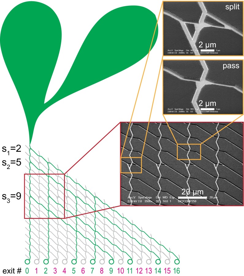 Fig. 2.