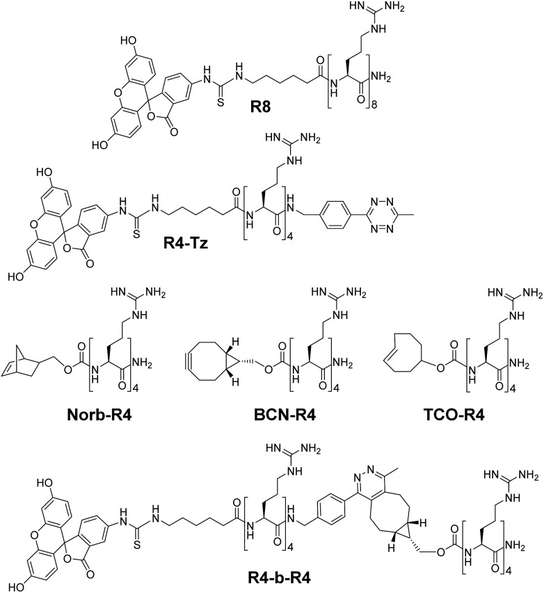 Fig. 2