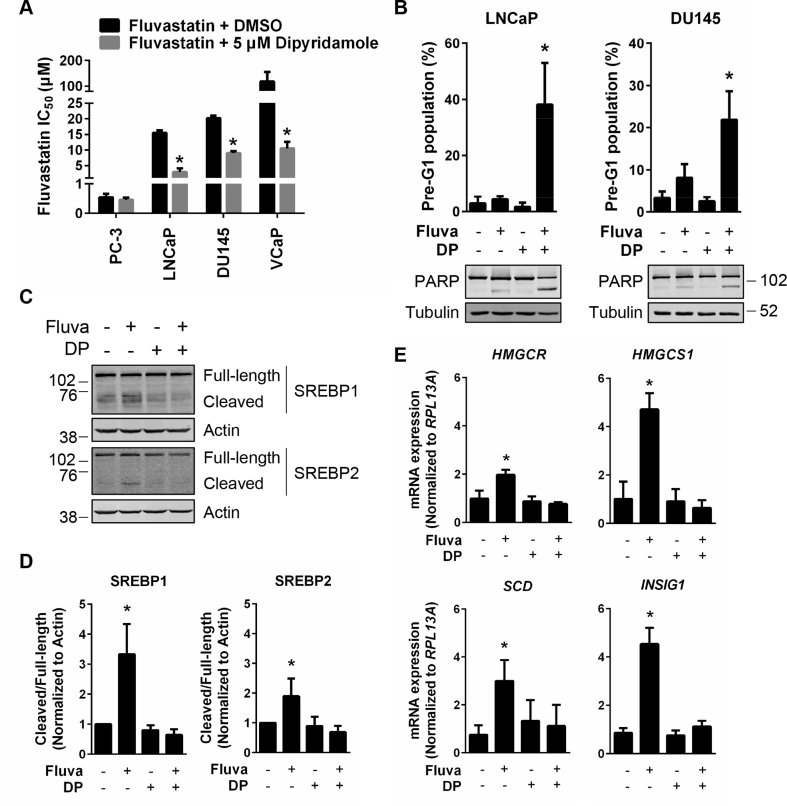 Figure 5