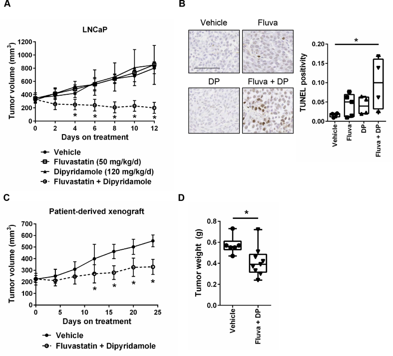 Figure 6