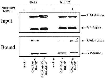 FIG. 11