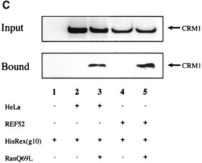 FIG. 7