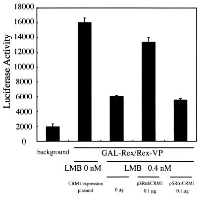 FIG. 10