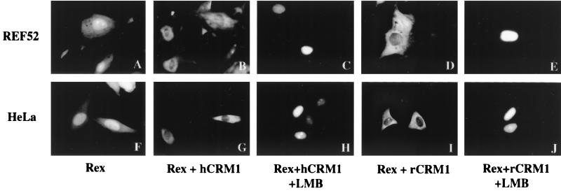 FIG. 6