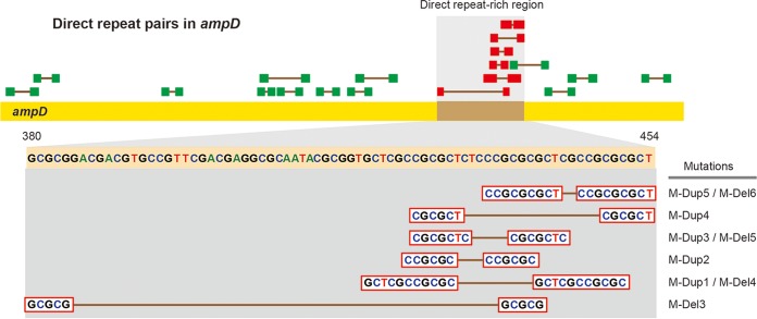 FIG 3