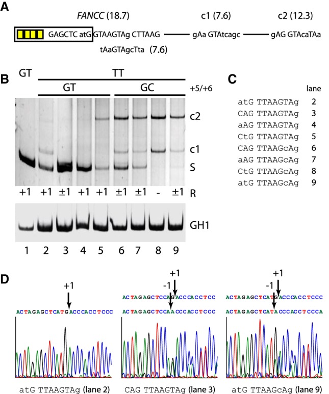 Figure 3.