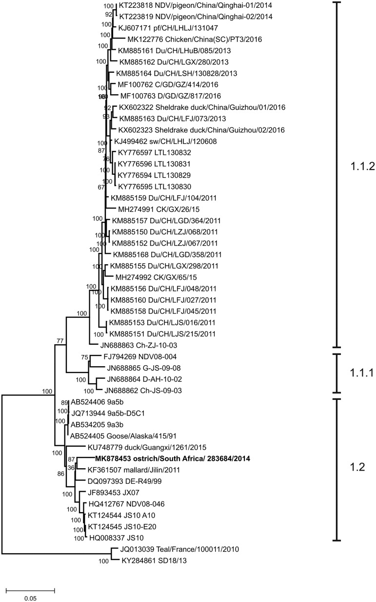 FIG 1