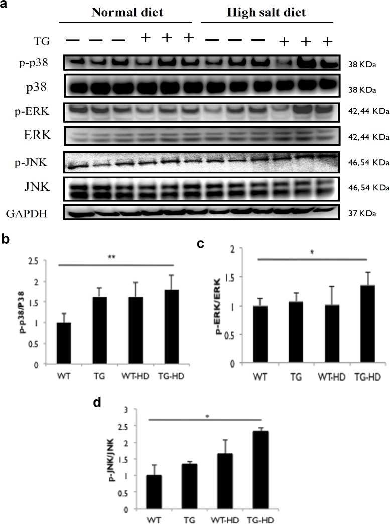 Fig 4