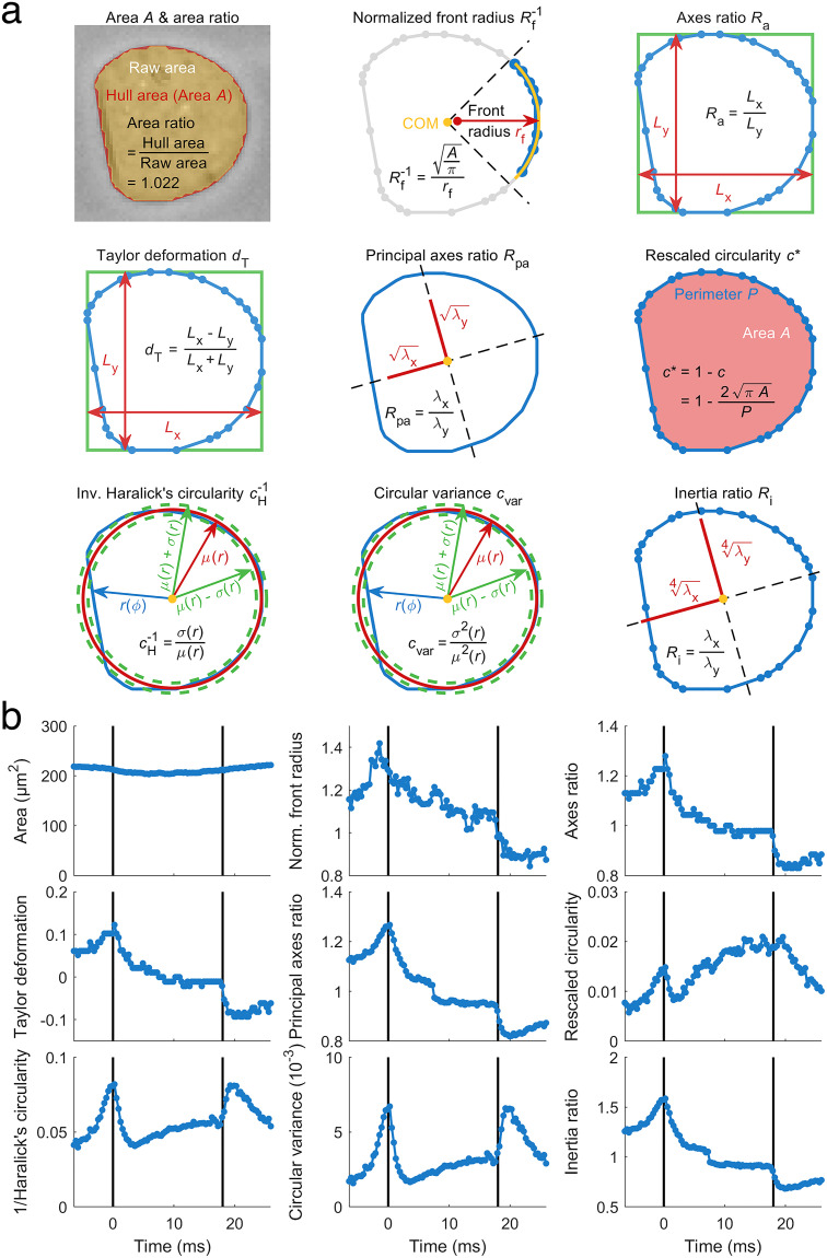 FIG. 2.