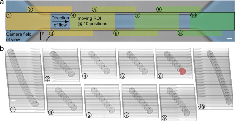 FIG. 1.