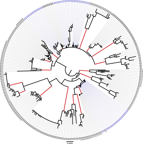 FIG. 1.