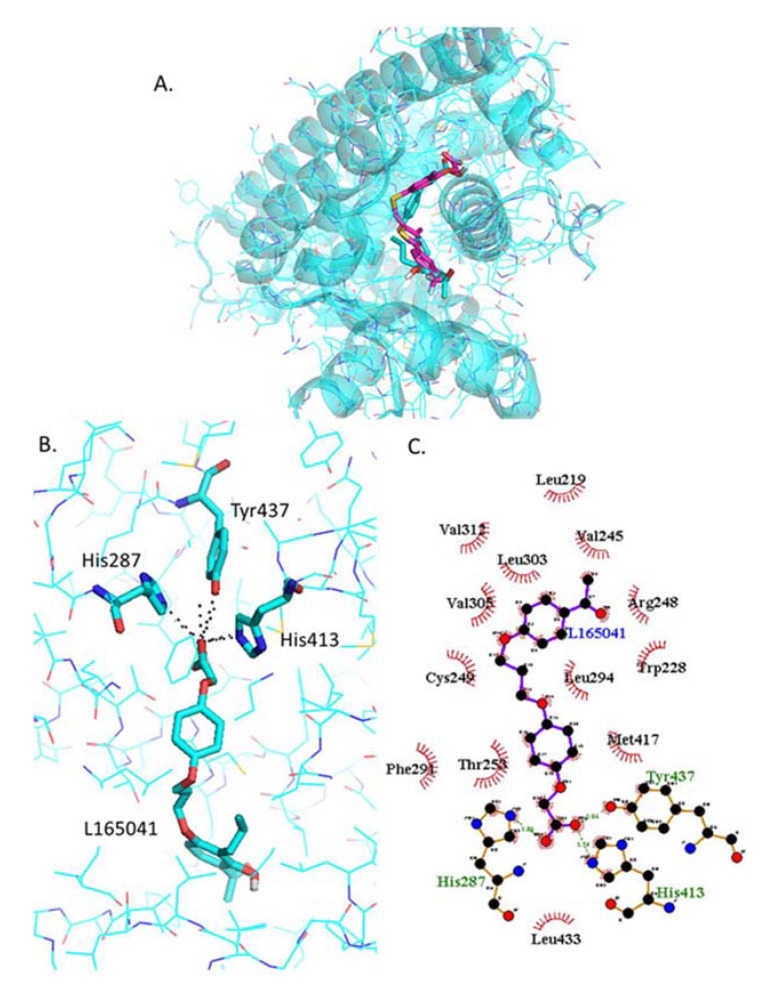 Figure 5