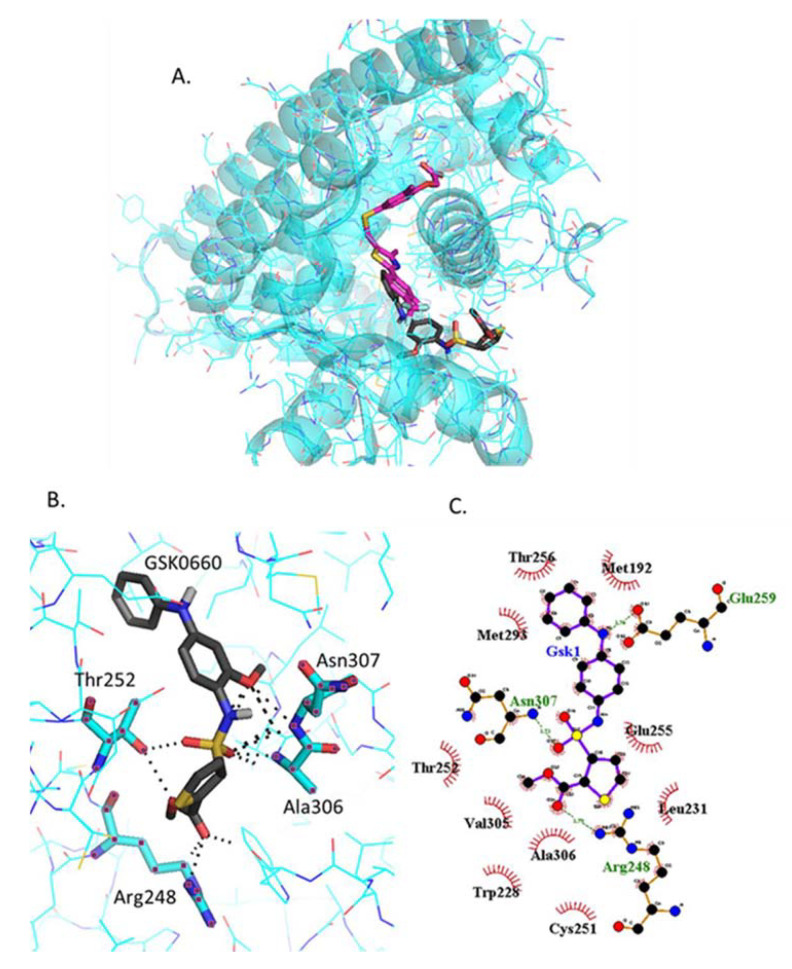 Figure 6