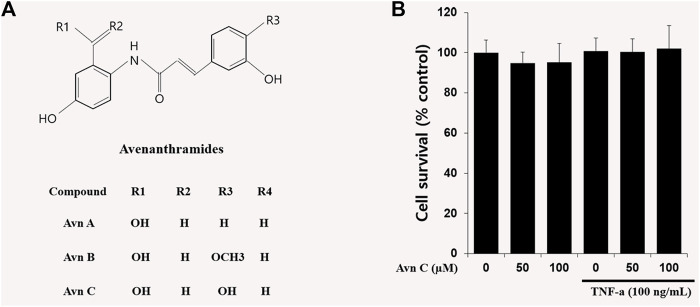 FIGURE 1