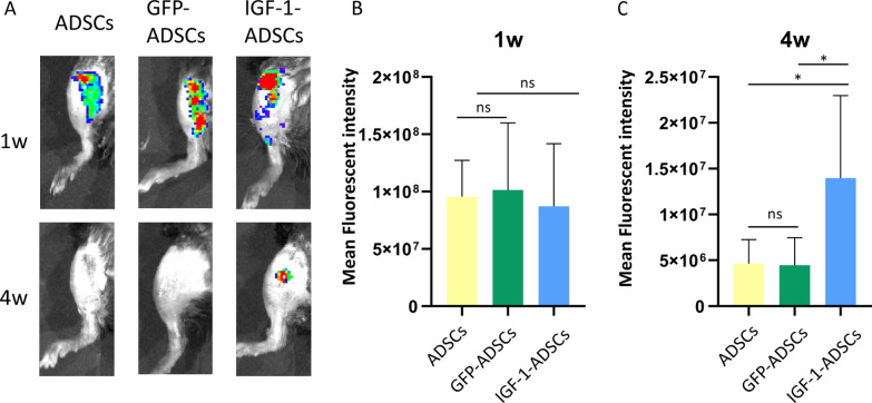 Fig. 4