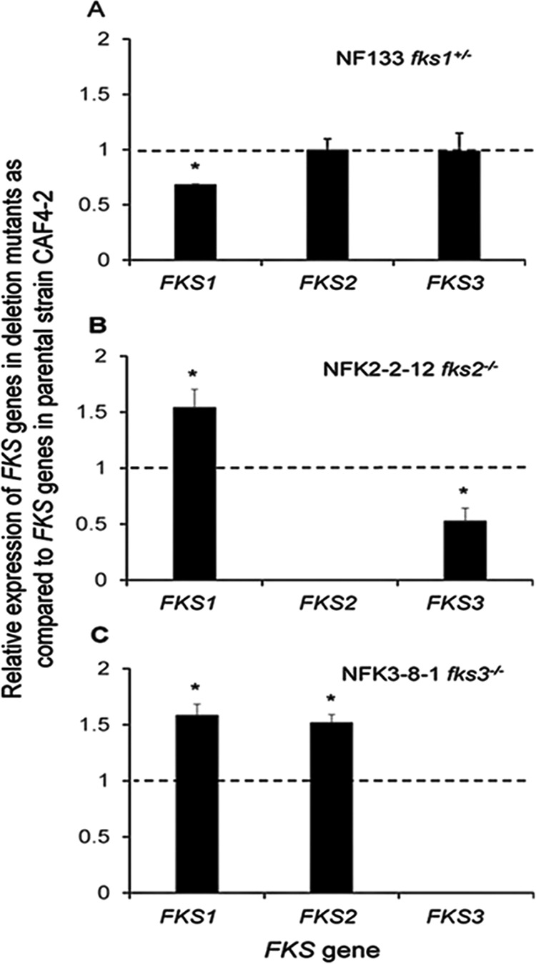 FIG 4