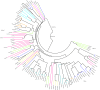 Fig 5