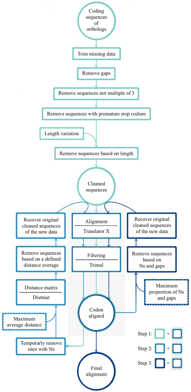 FIGURE 1