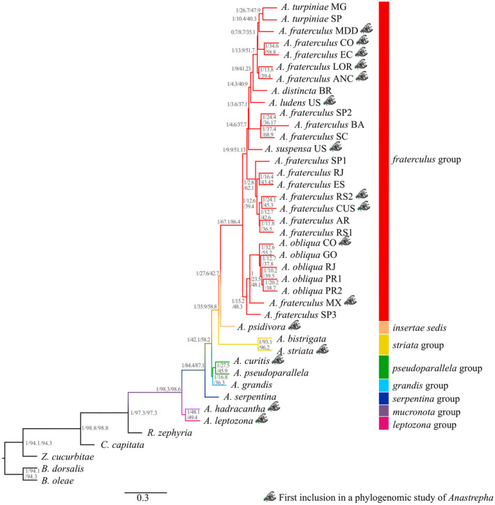 FIGURE 3