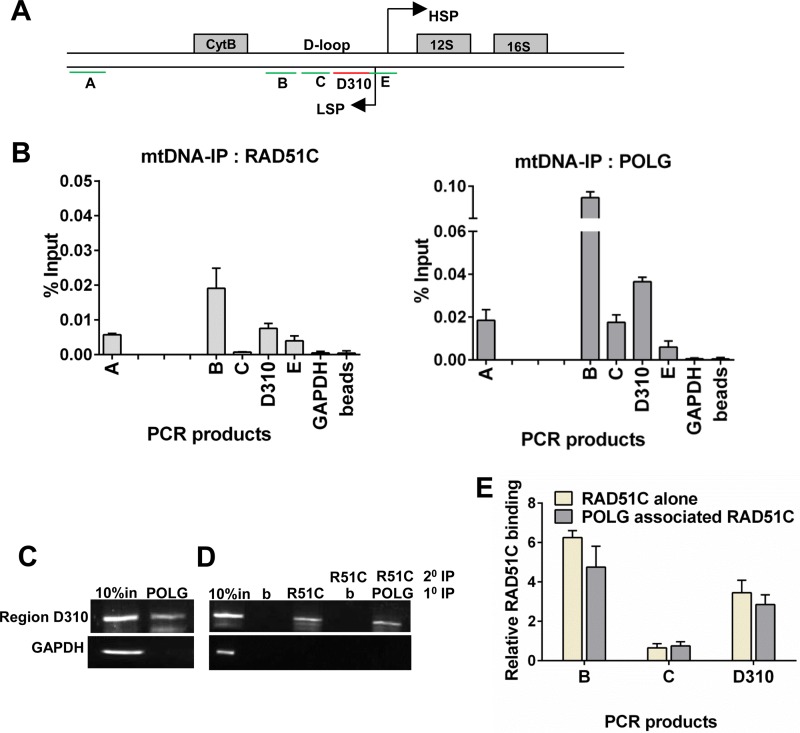 FIG 3