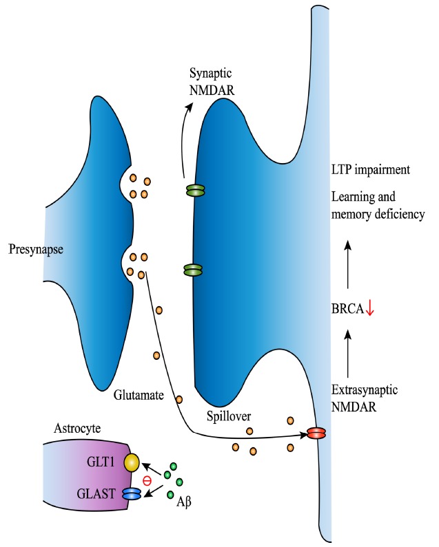 Fig. (2)